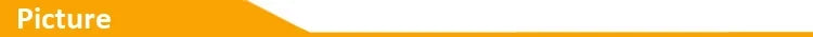 Wireless Charger Station Earphone Phone Fast Charging Charger Holder For iPhone 16 15 14 13 Pro Max Samsung S24 S23 Xiaomi
