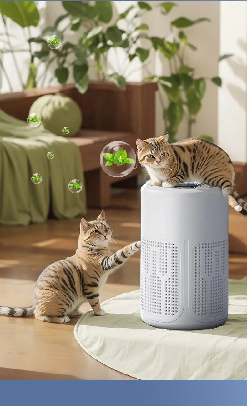 Mini Desktop Air Purifier Portable Air Cleaner HEPA Filter Freshener Odor Remover Compact Air Quality Improvement Devic